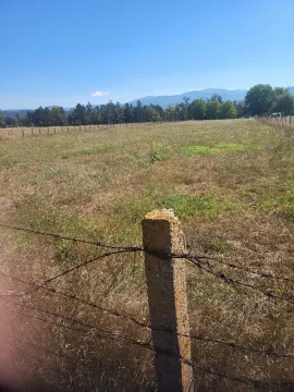 Prodaja, plac, 4000m², Aerodrom Berane, Berane - image 7