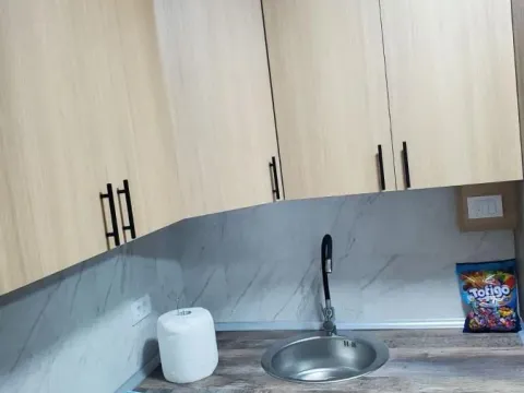 Prodaja, dvosoban stan, 33m², Vrnjačka Banja, Srbija - image 6