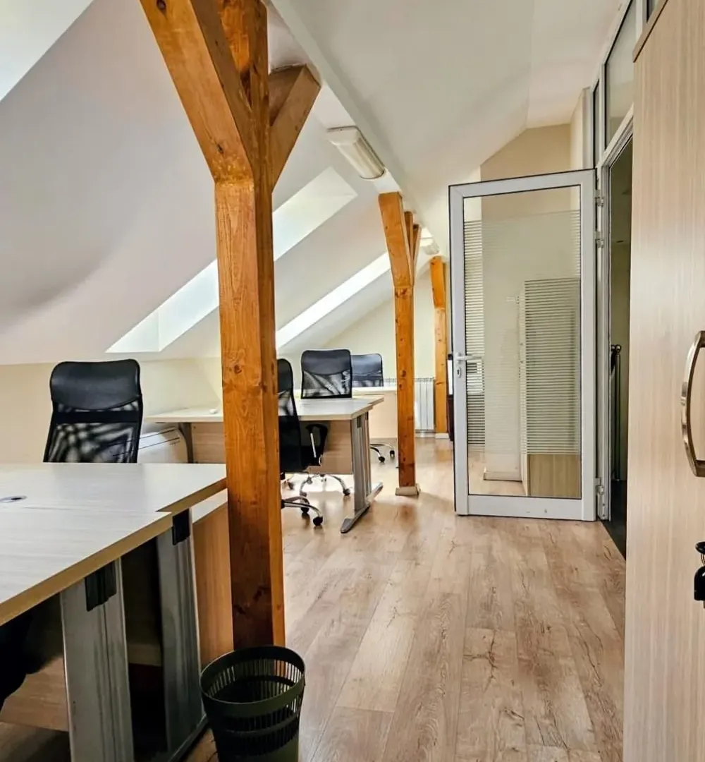 Rent, office space, 318m², Profesorska Kolonija, Palilula Sve Podlokacije