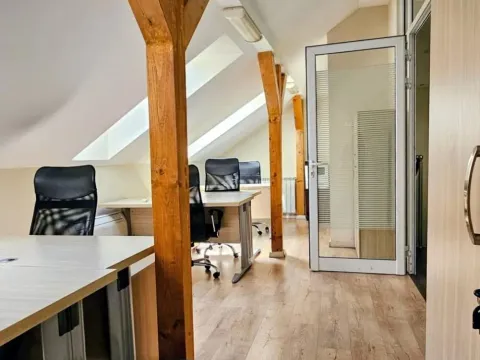 Rent, office space, 318m², Profesorska Kolonija, Palilula Sve Podlokacije - image 18