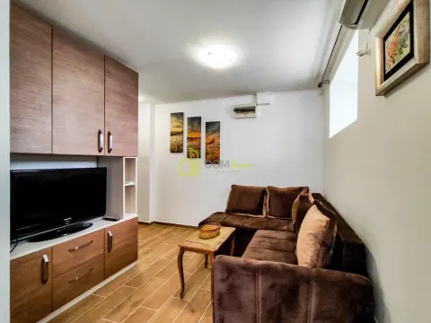 Izdavanje, garsonjera, 25m², Preko Morače, Podgorica - image 3