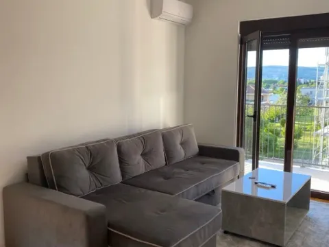 Izdavanje, jednosoban stan, 46m², Zabjelo, Podgorica - image 3