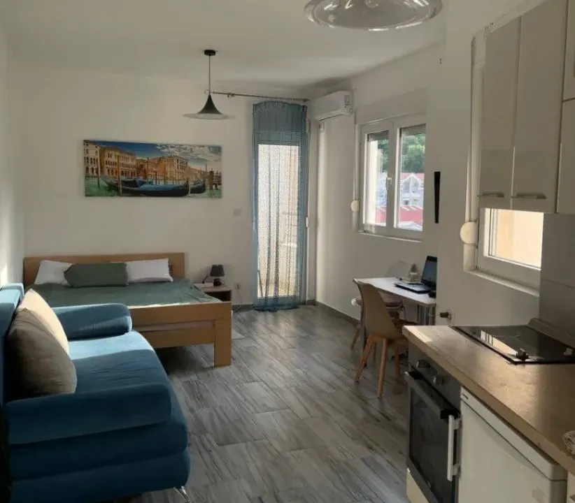 Izdavanje, garsonjera, 28m², Golubovina, Budva