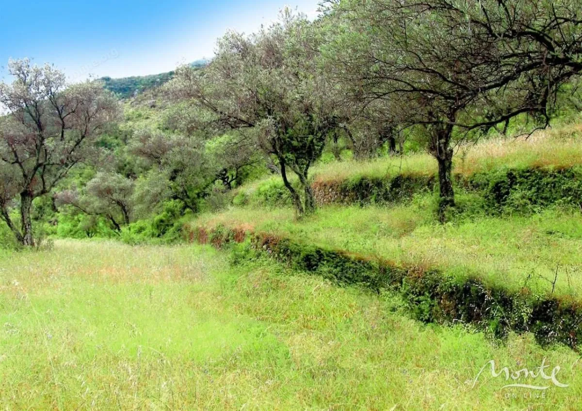 Prodaja, plac, 7500m², Prčanj, Kotor