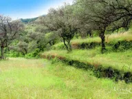 Prodaja, plac, 75m², Prčanj, Kotor - image 11