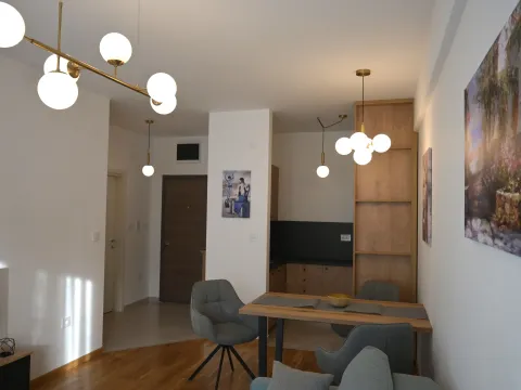 Izdavanje, jednosoban stan, 41m², Zabjelo, Podgorica - image 7