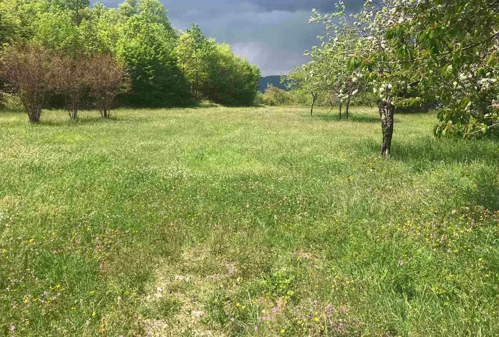 Prodaja, plac, 5000m², Danilovgrad, Crna Gora