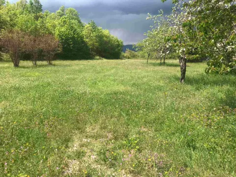 Prodaja, plac, 5000m², Danilovgrad, Crna Gora - image 4