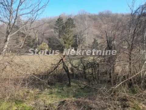 Prodaja, plac, 1000m², Sremska Kamenica, Petrovaradin - image 7