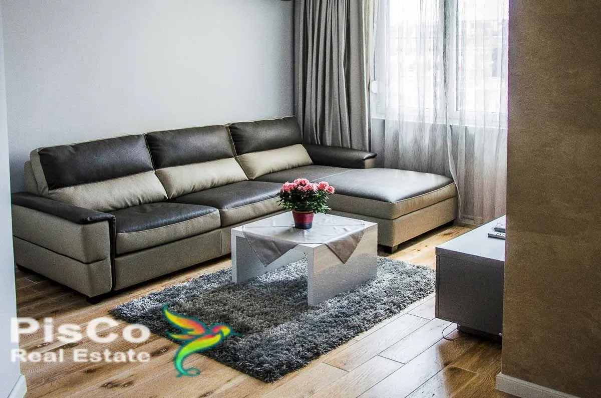 Rent, one bedroom apartment, 46m², Centar, Podgorica