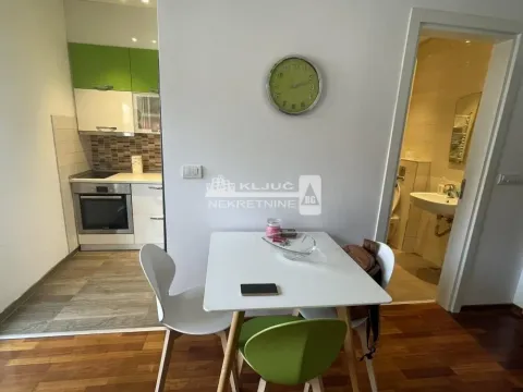 Izdavanje, dvosoban stan, 40m², Vračar Sve Podlokacije, Beograd - image 7