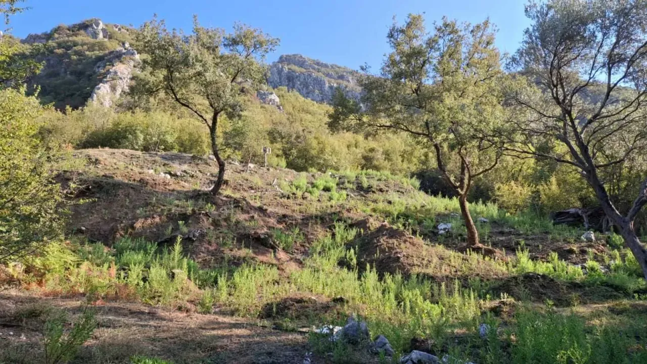 Prodaja, plac, 1000m², Bar, Crna Gora