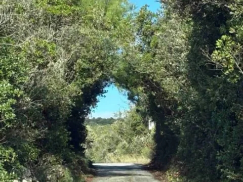 Prodaja, kuća, 132m², Zagora, Kotor - image 8