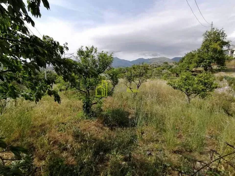 Prodaja, plac, 1550m², Zaljevo, Bar - image 12