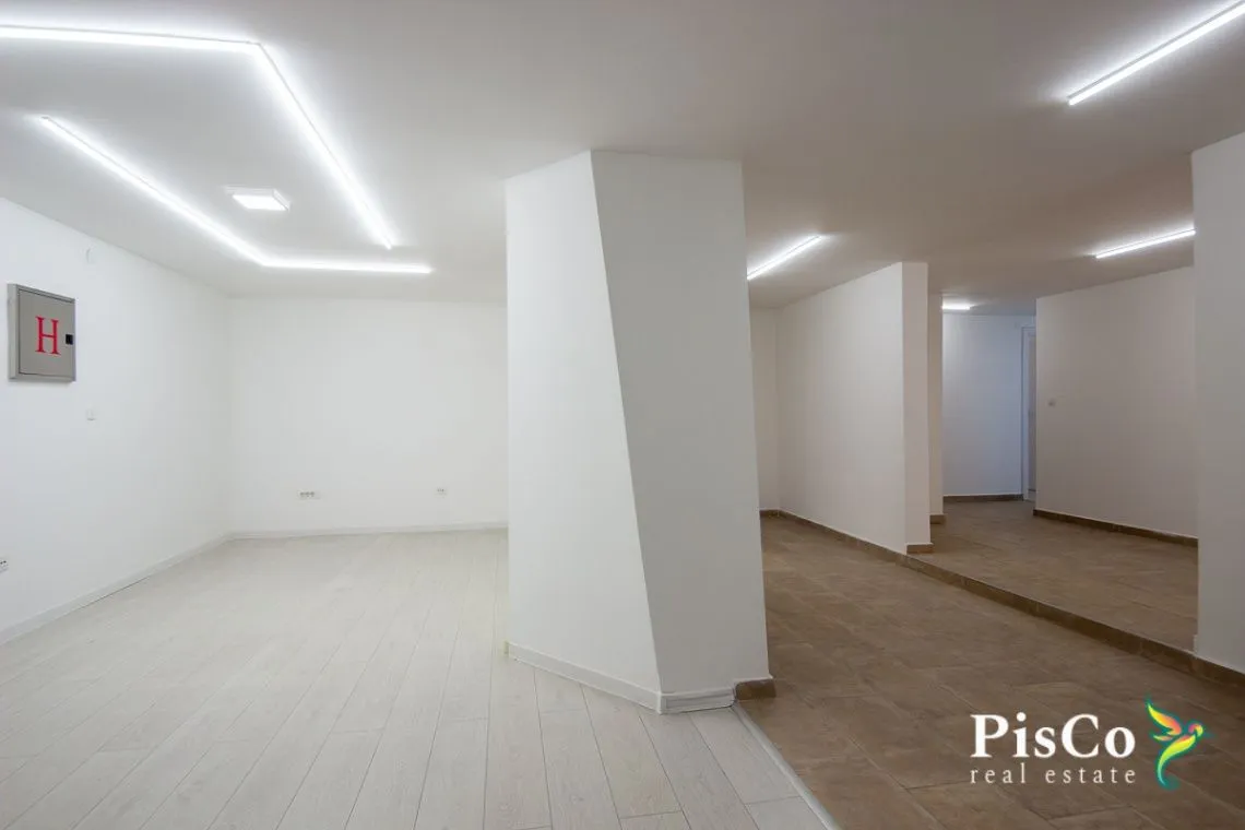 Izdavanje, poslovni prostor, 294m², Blok 5, Podgorica