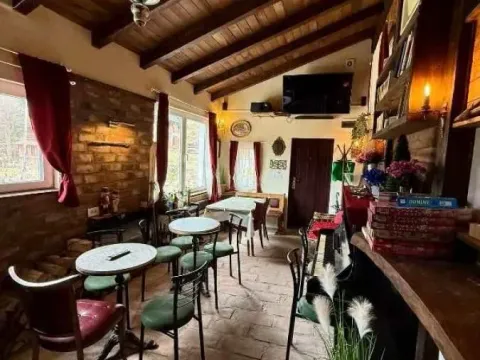 Prodaja, ugostiteljski objekat, 482m², Treska, Kopaonik - image 16