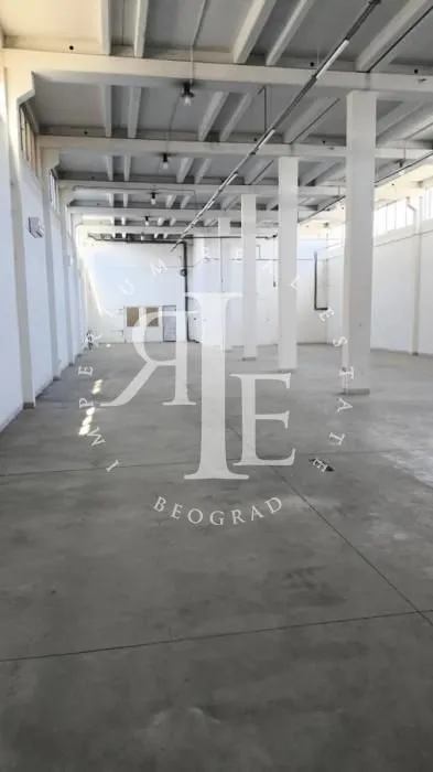 Izdavanje, poslovni prostor, 1265m², Altina, Beograd