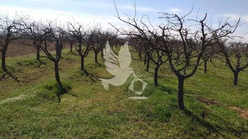 Prodaja, plac, 4500m², Mladenovac, Beograd