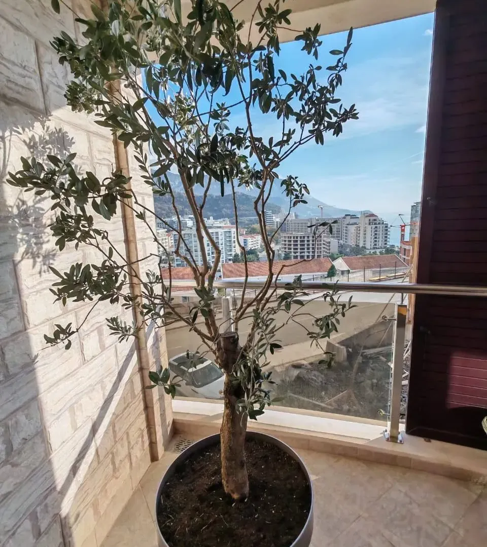 Sale, two bedroom apartment, 130m², Bečići, Budva