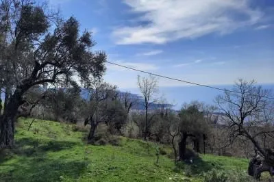 Prodaja, plac, 2600m², Dobre Vode, Bar - image 2