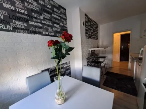 Izdavanje, jednosoban stan, 53m², Preko Morače, Podgorica - image 8