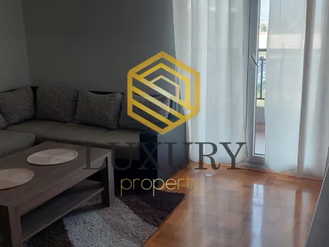 Rent, one bedroom apartment, 44m², Stari Aerodrom, Podgorica - image 4