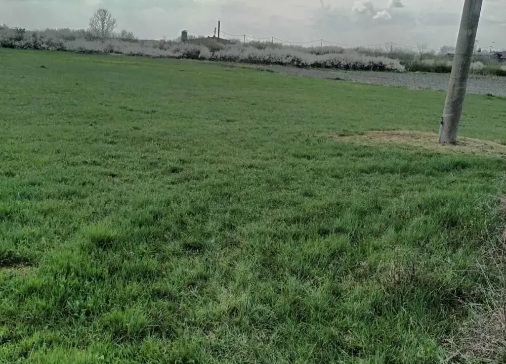 Sale, land lot, 2391m², Petrovčić, Surčin