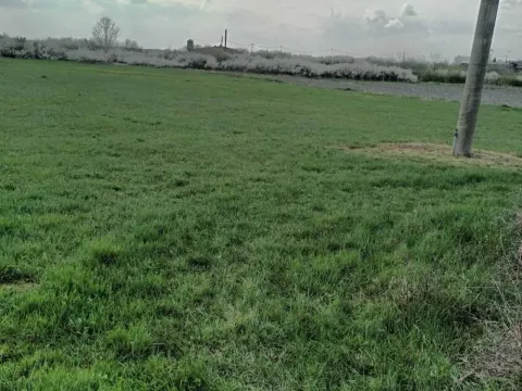 Prodaja, plac, 2391m², Petrovčić, Surčin - image 1