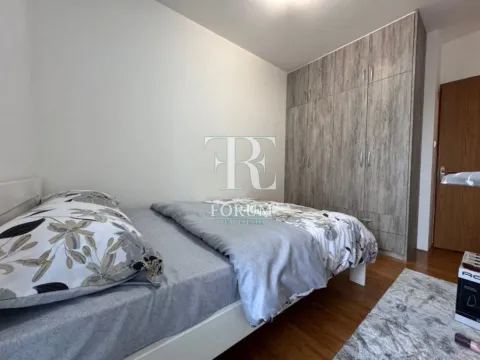 Izdavanje, jednosoban stan, 40m², Obala Morače, Podgorica - image 8