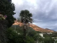 Prodaja, kuća, 60m², Sutomore, Bar - image 12