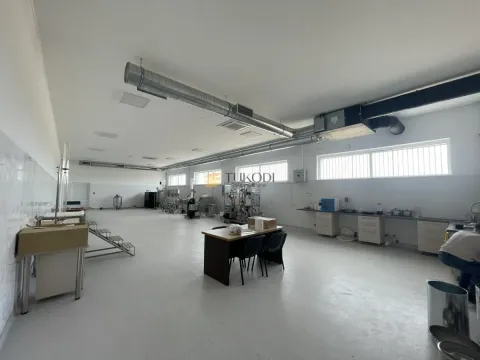 Sale, office space, 1193m², Kać, Novi Sad Sve Podlokacije - image 9