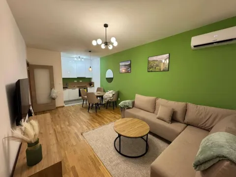 Rent, one bedroom apartment, 45m², Zabjelo, Podgorica - image 3