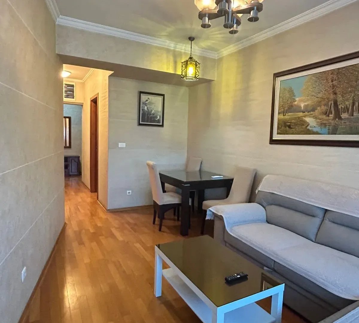 Rent, one bedroom apartment, 50m², Centar, Podgorica