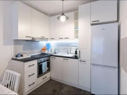 Rent, two bedroom apartment, 43m², Južni Bulevar, Vračar Sve Podlokacije - image 12