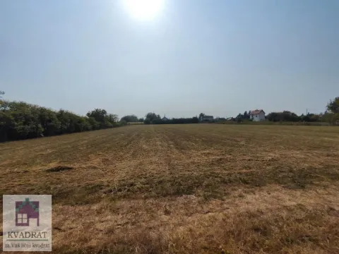 Sale, land lot, 6400m², Skela, Obrenovac - image 3