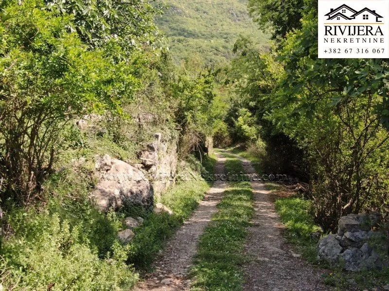Prodaja, plac, 312m², Zelenika, Herceg Novi