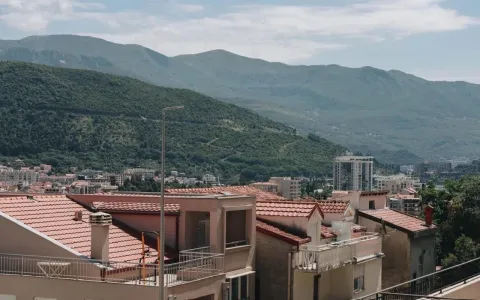 Sale, one bedroom apartment, 46m², Bijeli Do, Budva - image 8