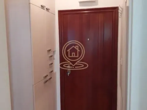 Izdavanje, jednosoban stan, 38m², Nova Detelinara, Novi Sad Sve Podlokacije - image 4