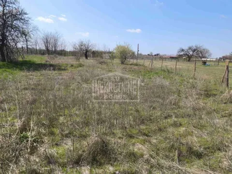 Prodaja, plac, 1400m², Kelebija, Subotica - image 4