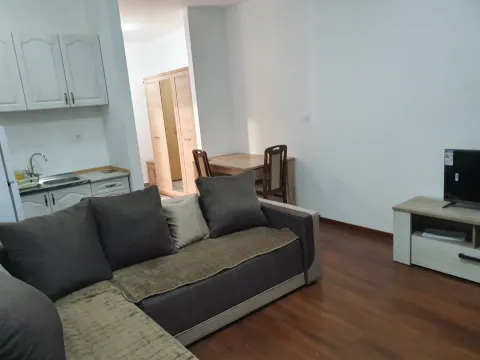 Izdavanje, garsonjera, 29m², Master Kvart, Podgorica - image 6