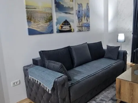 Izdavanje, jednosoban stan, 42m², Tuški Put, Podgorica - image 7