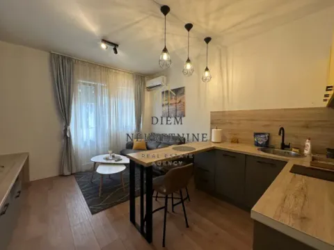 Rent, one bedroom apartment, 45m², Preko Morače, Podgorica - image 8