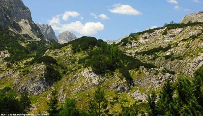 Prodaja, plac, 4527m², Podgora, Žabljak
