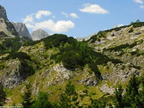 Prodaja, plac, 4527m², Podgora, Žabljak - image 1