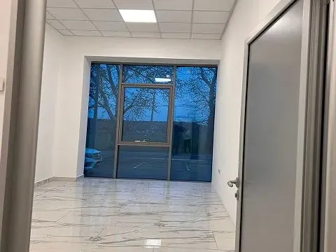 Izdavanje, poslovni prostor, 350m², Zemun Sve Podlokacije, Beograd - image 3