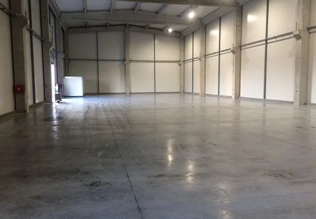 Izdavanje, poslovni prostor, 1500m², Zemun Sve Podlokacije, Beograd