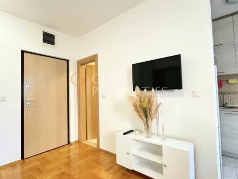 Izdavanje, stan, 36m², Stari Aerodrom, Podgorica - image 4