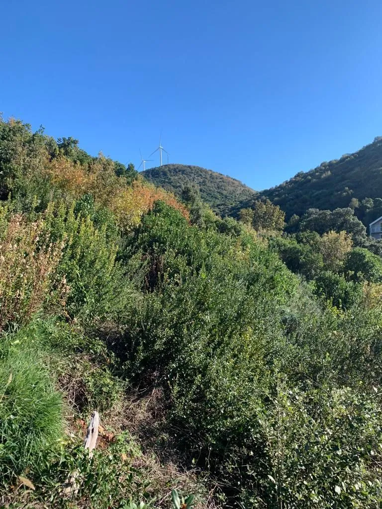 Prodaja, plac, 1594m², Utjeha, Bar