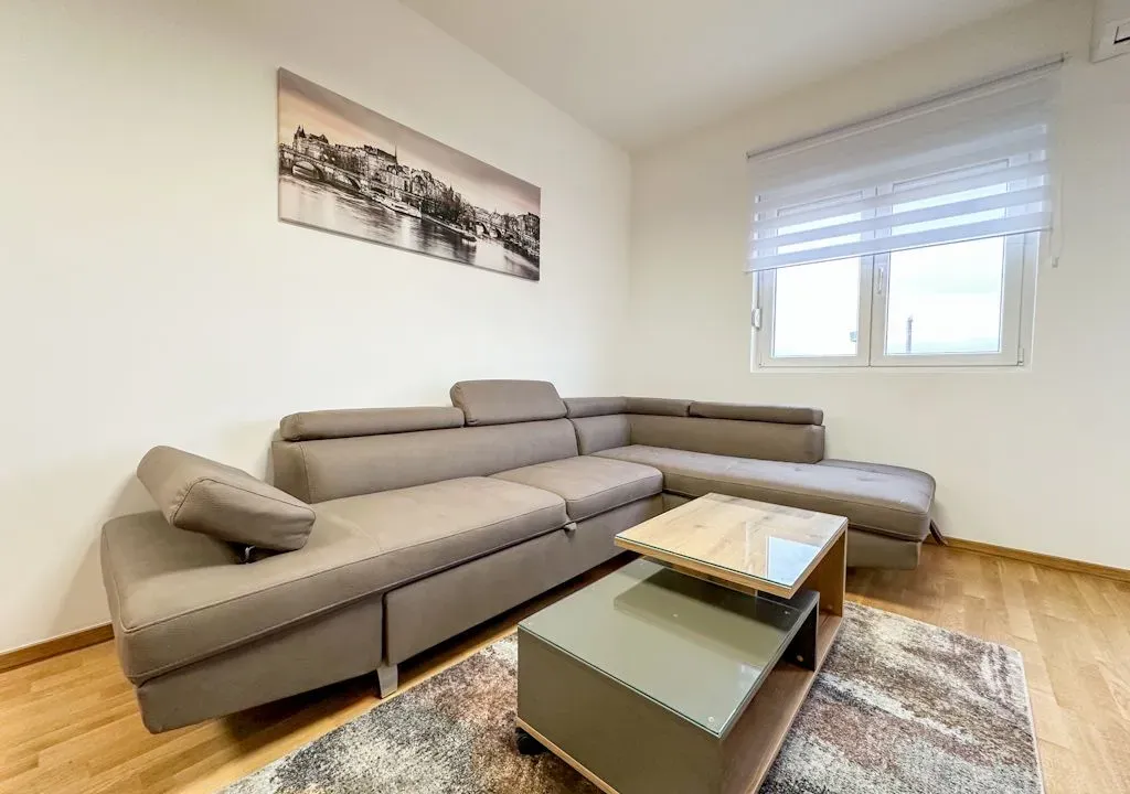 Rent, one bedroom apartment, 47m², Zabjelo, Podgorica