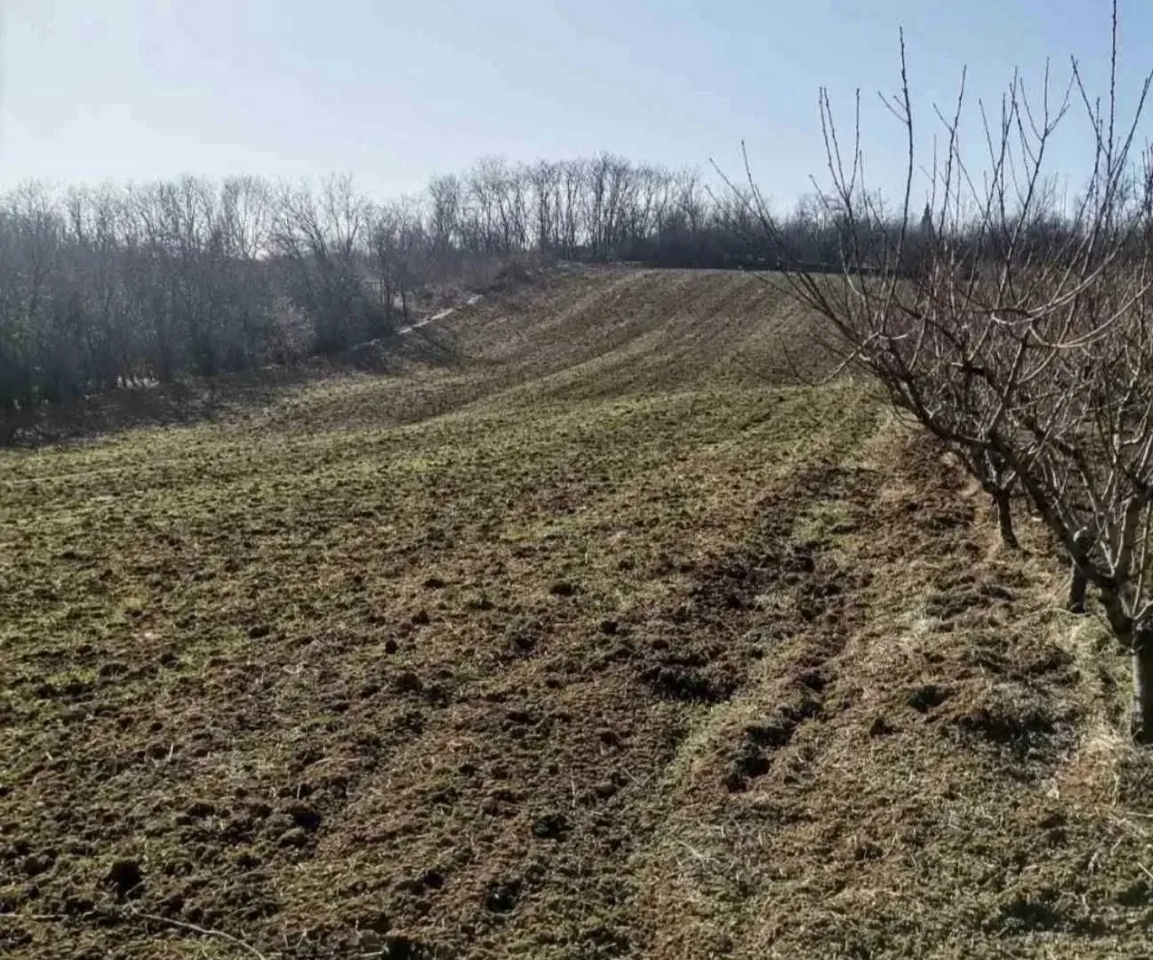Prodaja, plac, 19600m², Dubona, Mladenovac